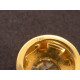 Gold Anhänger mit 1,0 ct Brillant (inkl. Halskette)